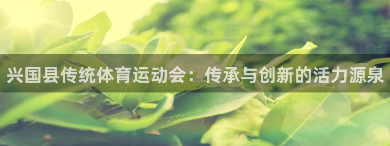 风速体育app官方下载：兴国县传统体育运动会：传承与创新的活力源泉