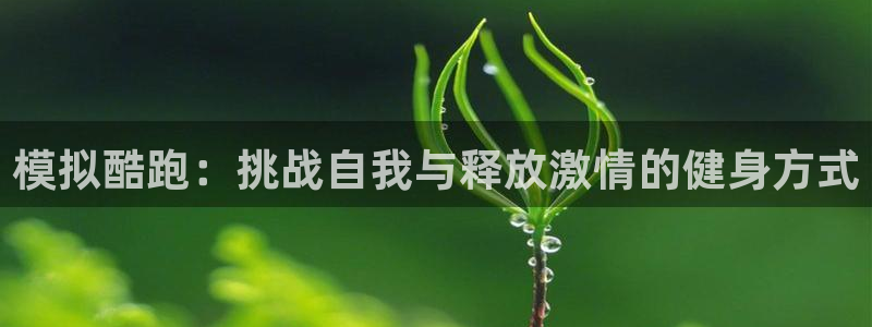 下载风速体育：模拟酷跑：挑战自我与释放激情的健身方式