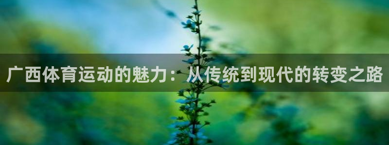 风速体育直播：广西体育运动的魅力：从传统到现代的转变之路