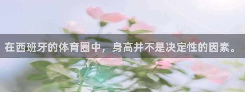风速体育nba免费直播：在西班牙的体育圈中，身高并不是决定性的因素。