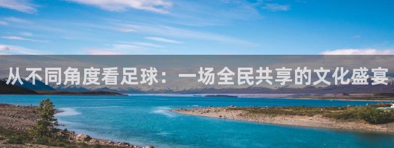 风速体育：从不同角度看足球：一场全民共享的文化盛宴
