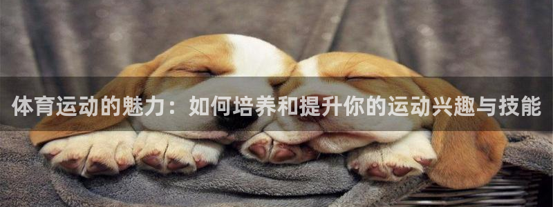 风速体育直播app：体育运动的魅力：如何培养和提升你的运动兴趣与技能