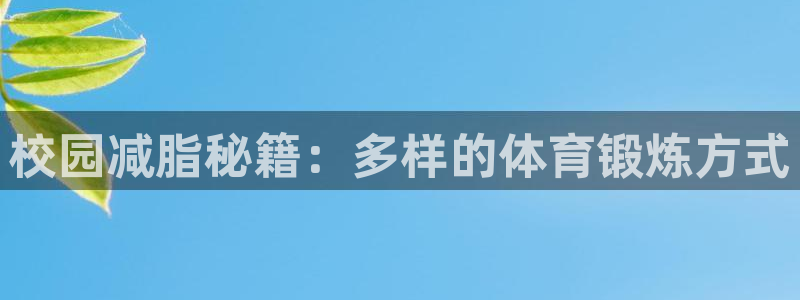 风速体育官网：校园减脂秘籍：多样的体育锻炼方式