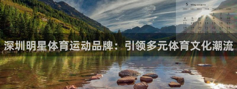 风速体育app下载官网最新版：深圳明星体育运动品牌：引领多元体育文化潮流
