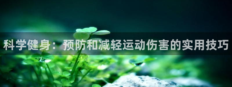 风速体育app：科学健身：预防和减轻运动伤害的实用技巧