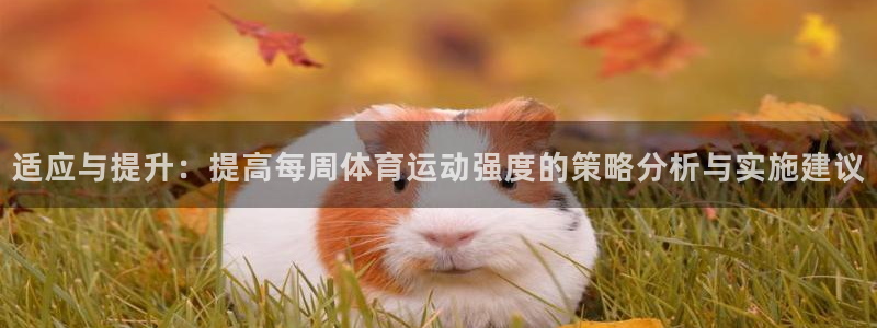 风速体育直播app：适应与提升：提高每周体育运动强度的策略分析与实施建议