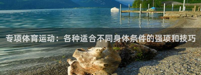 风速体育nba直播：专项体育运动：各种适合不同身体条件的强项和技巧