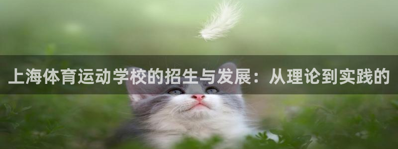 风速体育app官方下载：上海体育运动学校的招生与发展：从理论到实践的