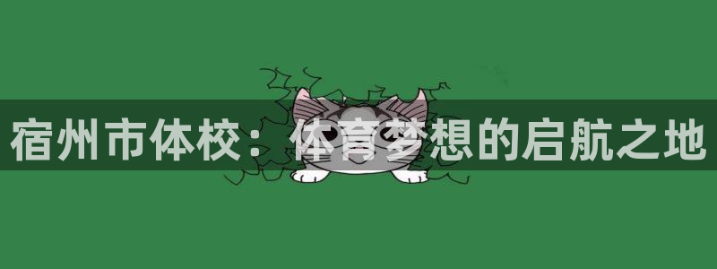 风速体育：宿州市体校：体育梦想的启航之地