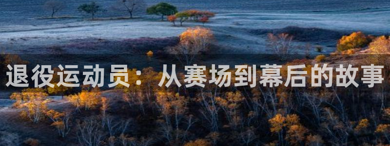 风速体育下载：退役运动员：从赛场到幕后的故事