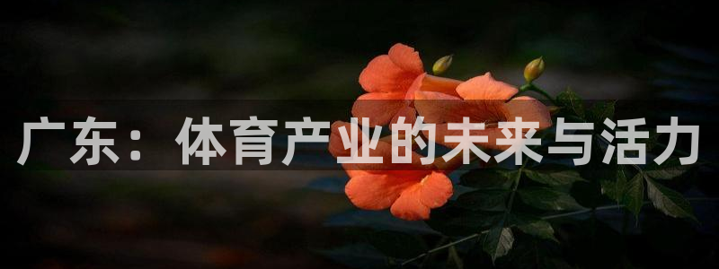 风速体育app官方下载：广东：体育产业的未来与活力