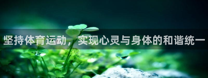 下载风速体育：坚持体育运动，实现心灵与身体的和谐统一